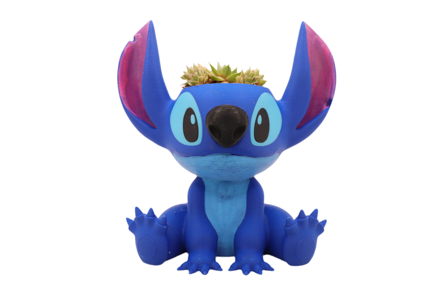 Witchery Stitchery Plant Experiment