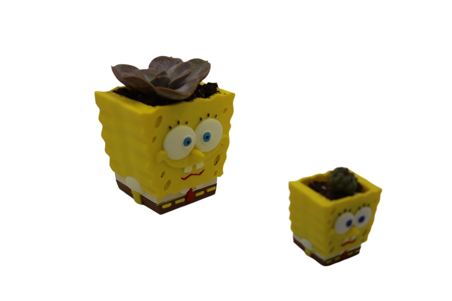 BubblyBob SquarePlants Planter