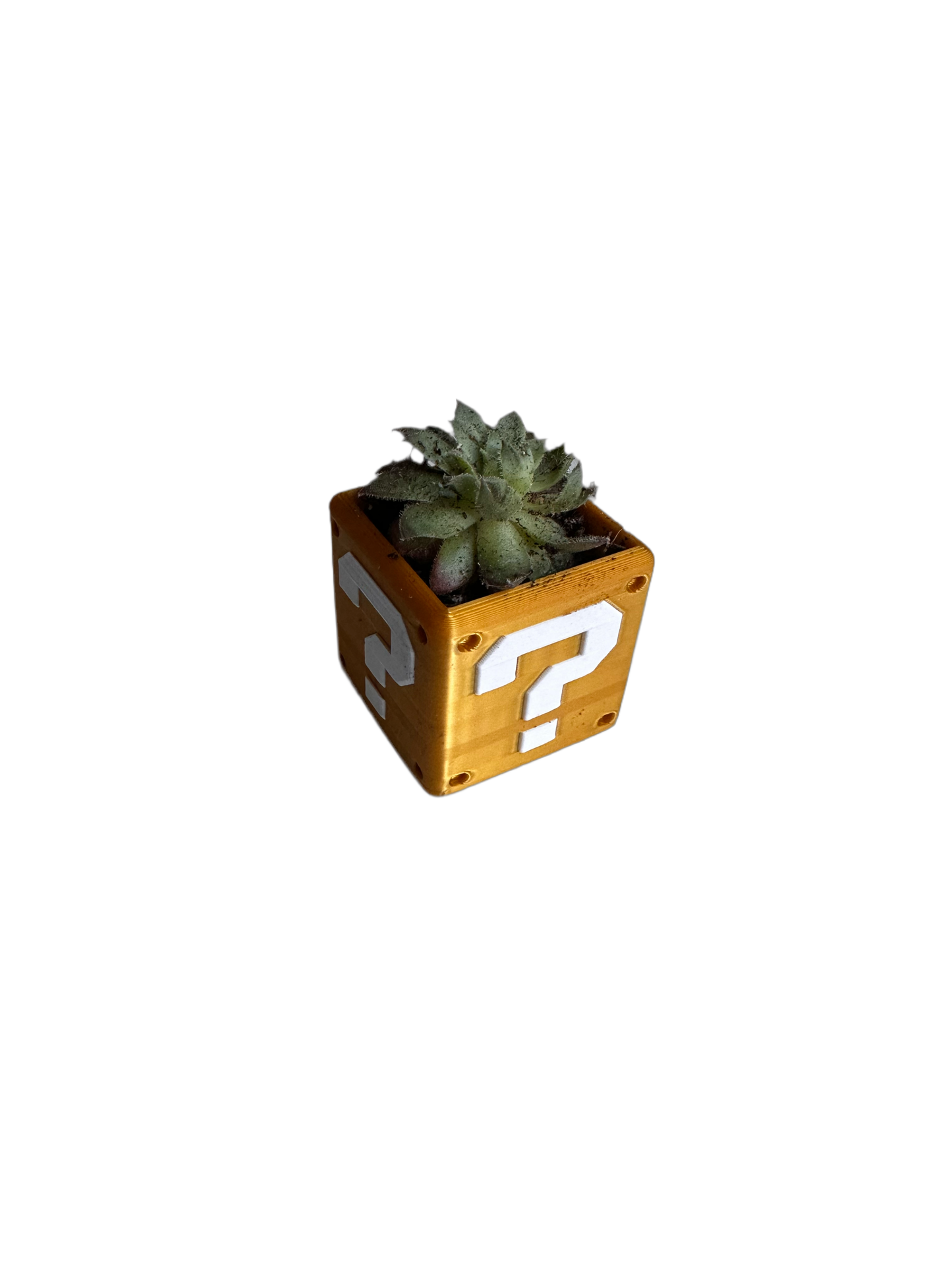 Secret Box Planter