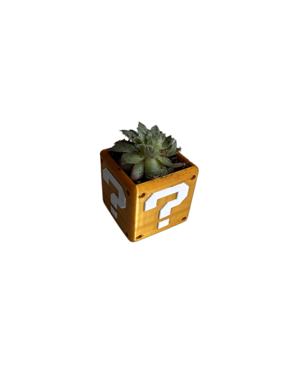 Secret Box Planter