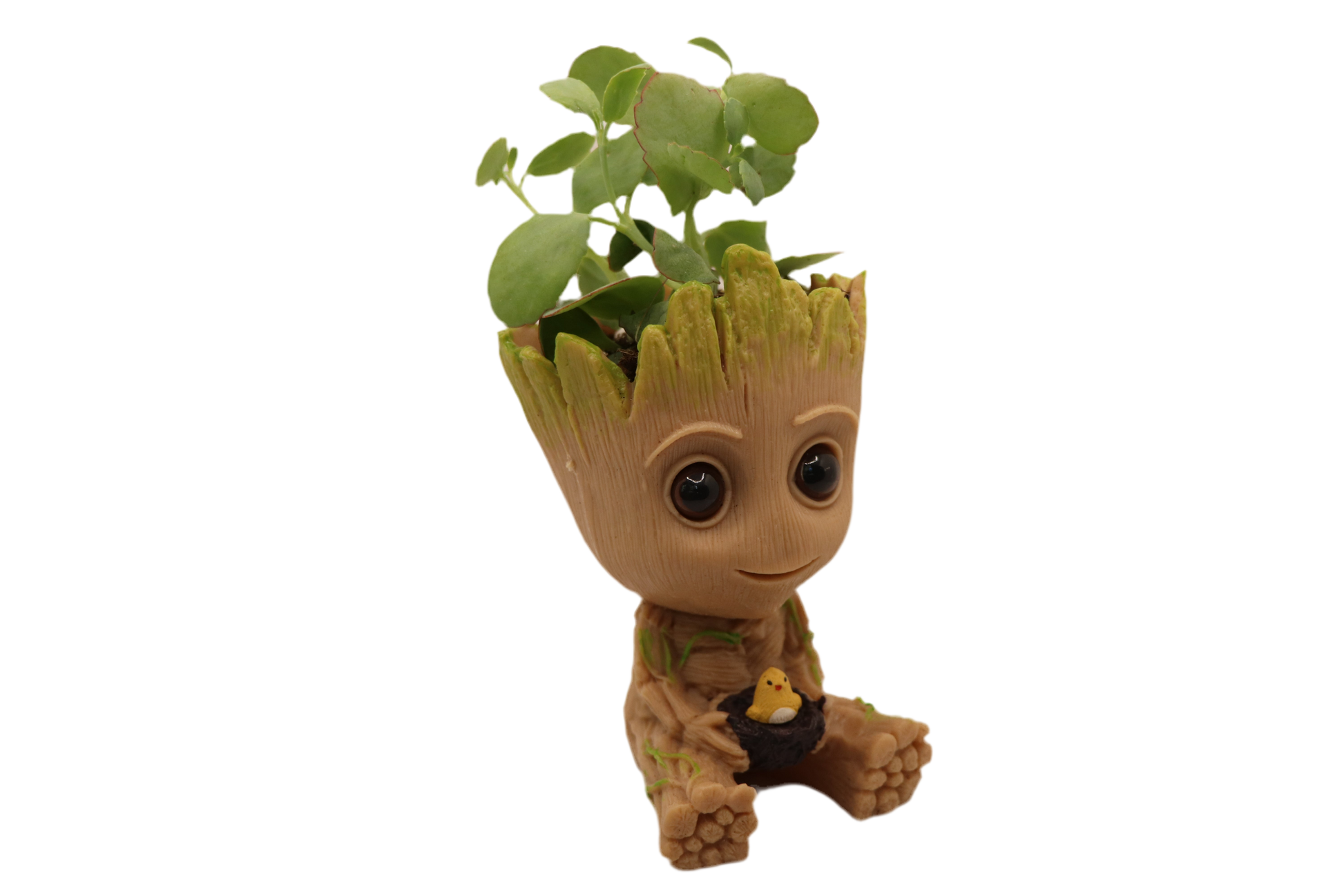 groot plant pot large Little Sprot – Turn A New Leaf NJ