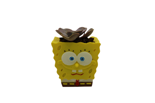 BubblyBob SquarePlants Planter