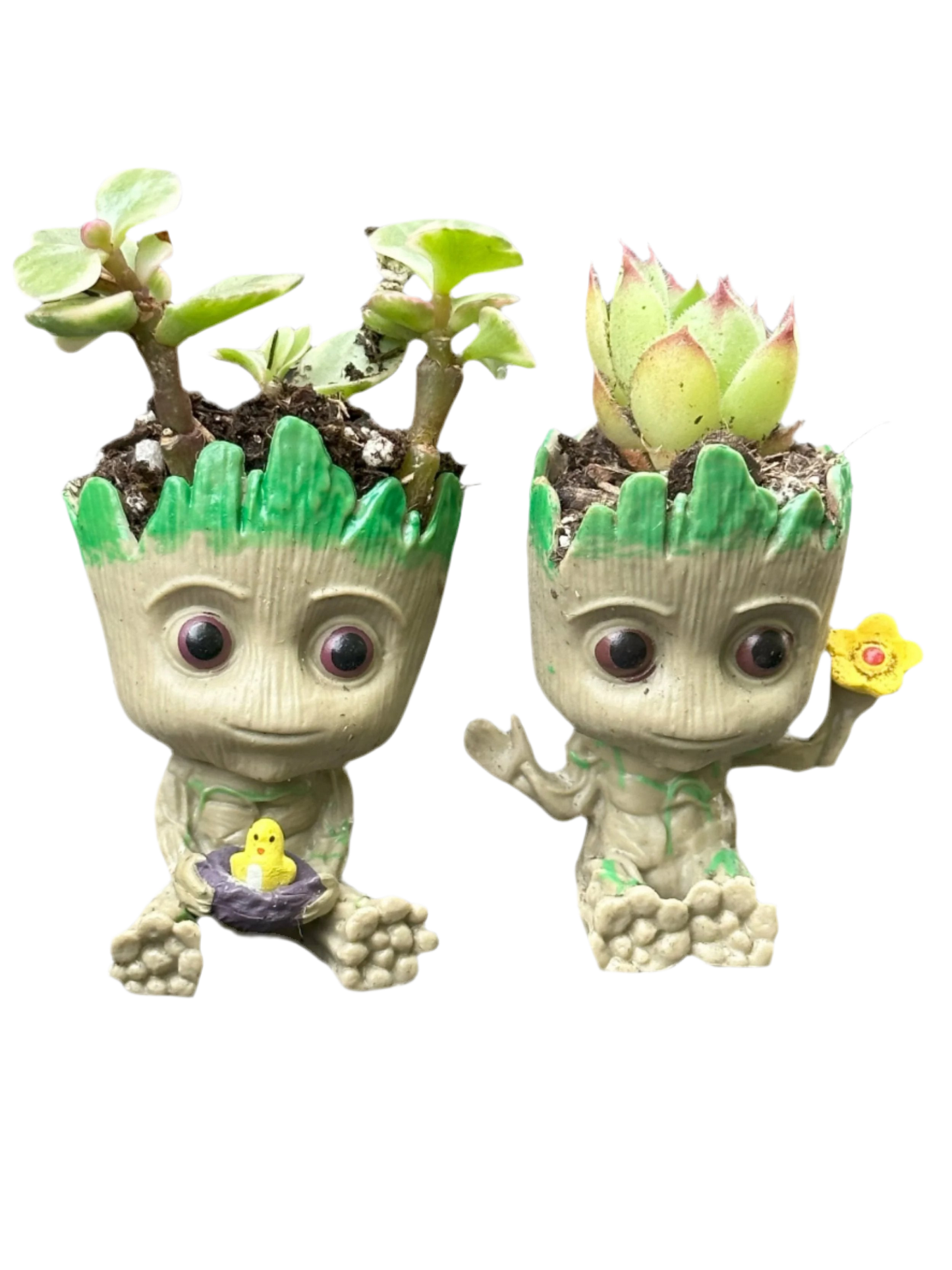 groot potted plant Little Sprot – Turn A New Leaf NJ