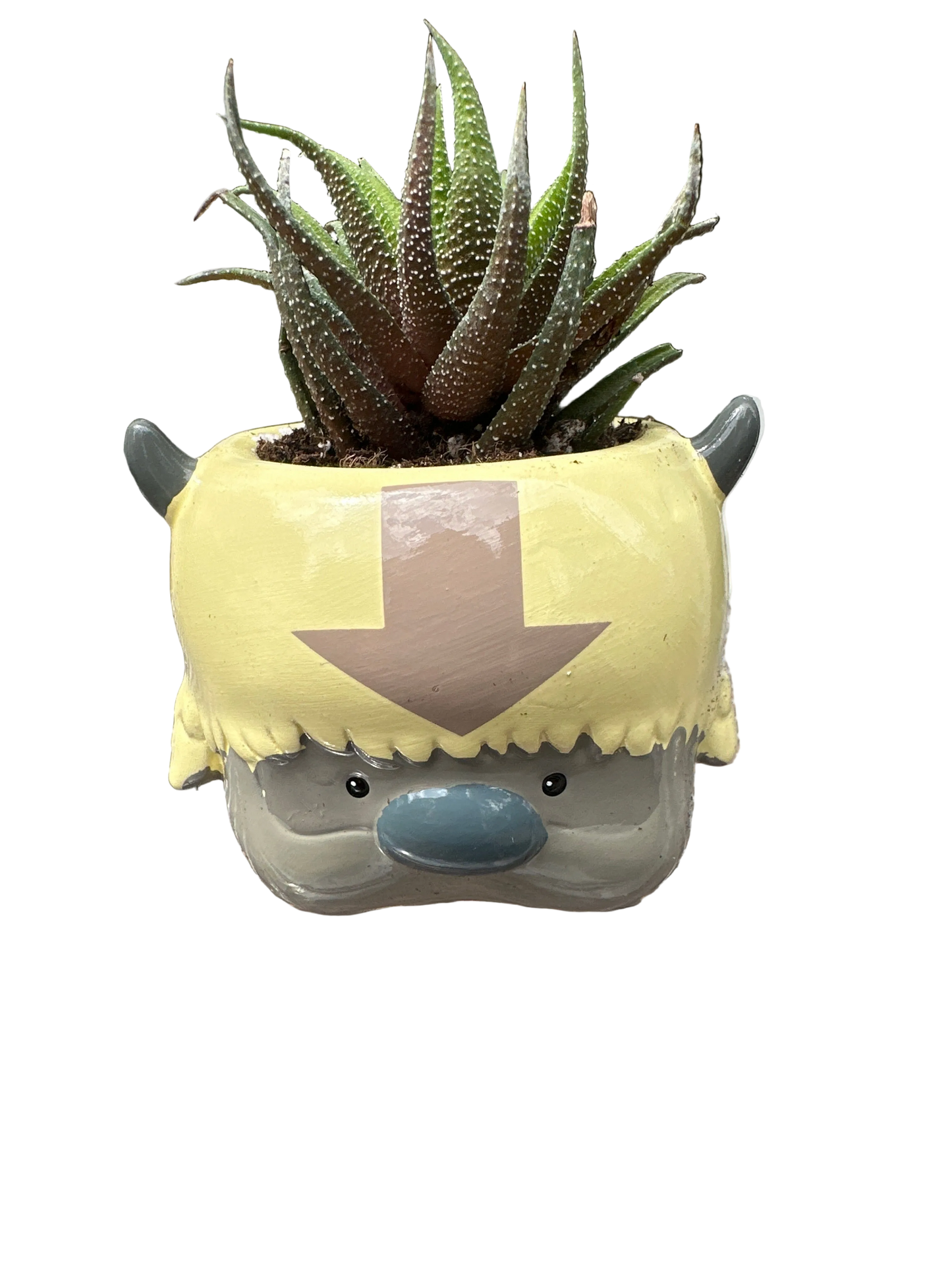 Appa Ceramic Planter