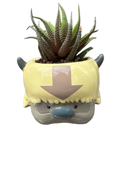 Appa Ceramic Planter