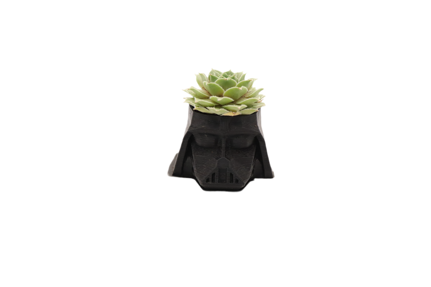 Vader the Germinator