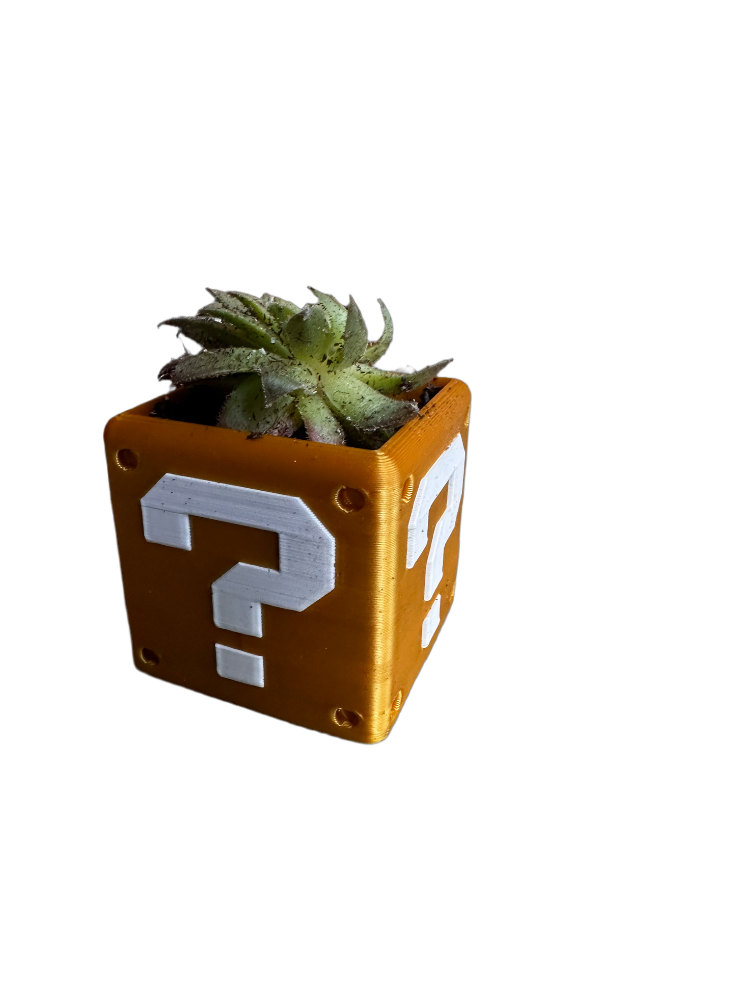 Secret Box Planter