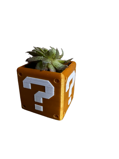 Secret Box Planter