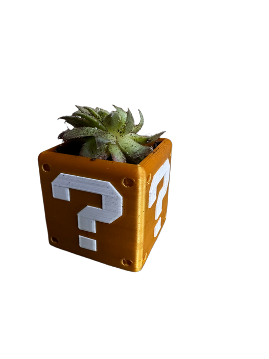 Secret Box Planter