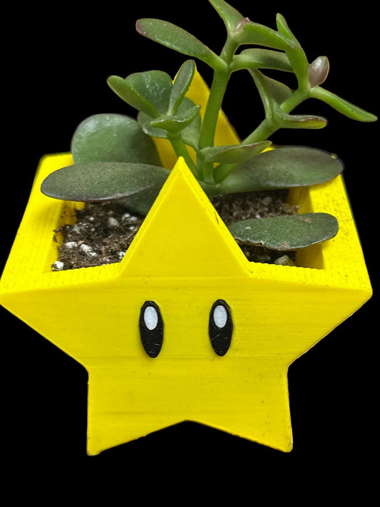 Golden Star Planter